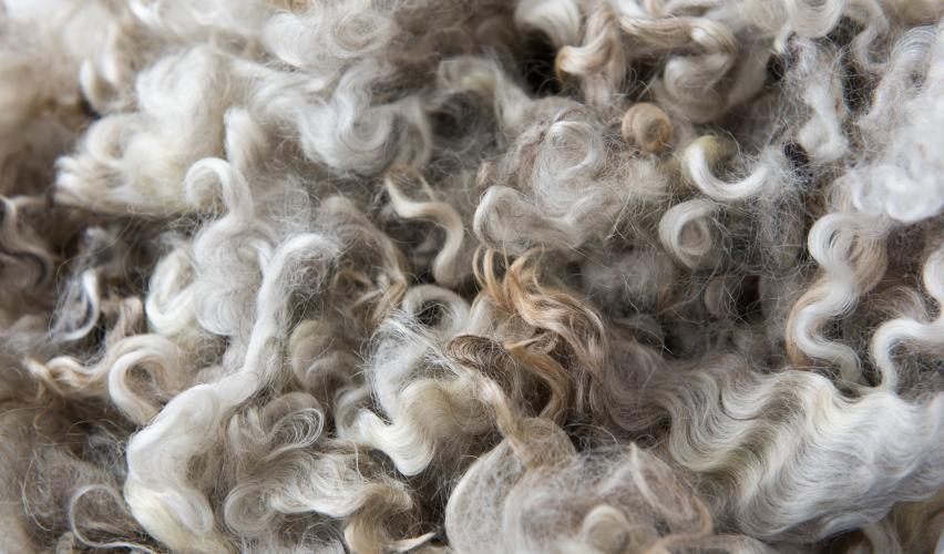 Natural Fibers - Wool